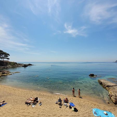Playa Canadell MAR P primera línea de mar con terraza Calella De Palafrugell Exterior foto